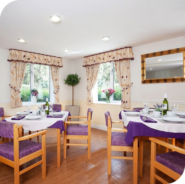 A neatly arranged dining room in a care home on the Isle of Wight with purple chairs